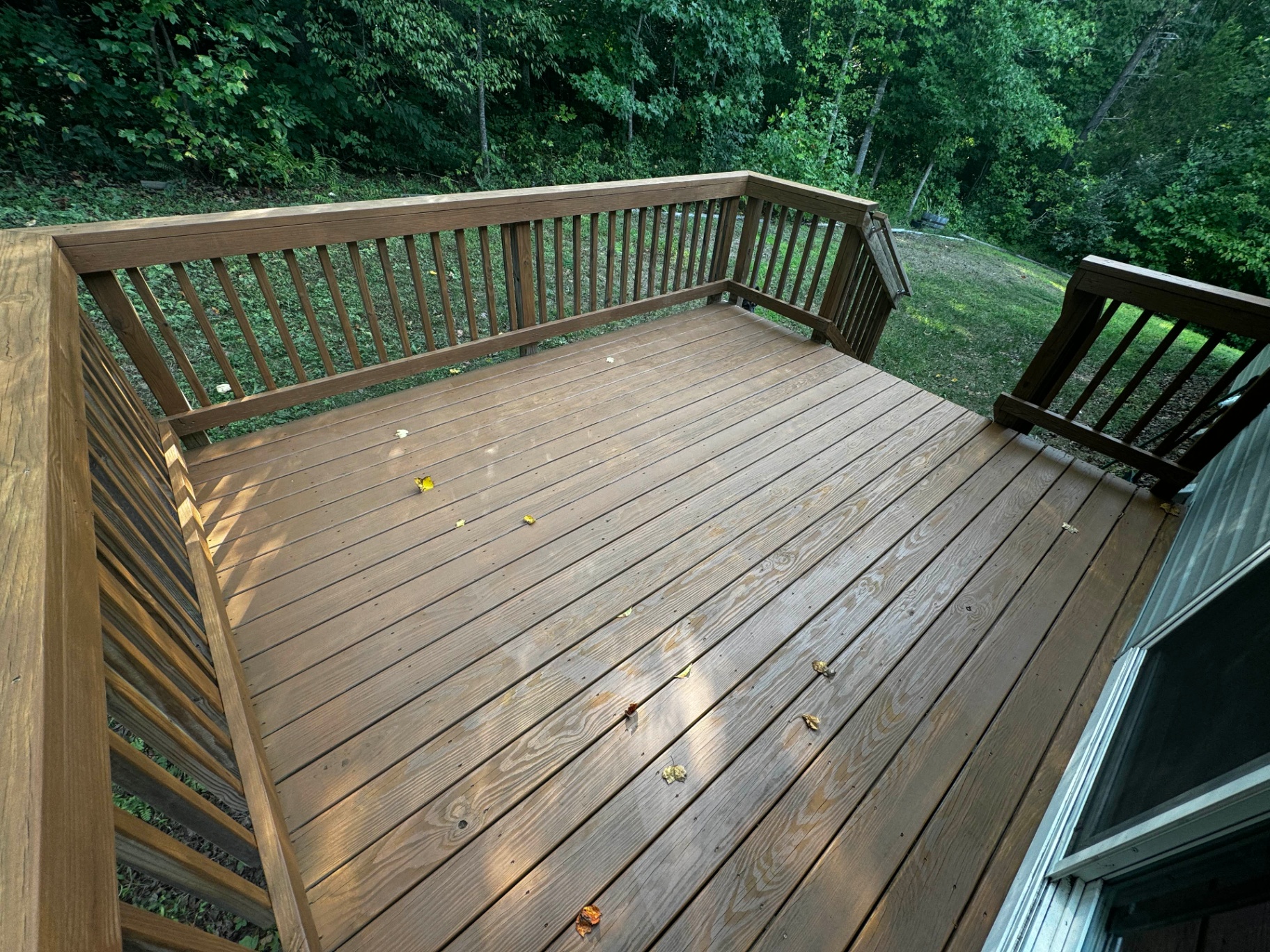 Same backyard wood deck after sanding and staining, with rich warm brown semi-transparent stain on the boards and railings overlooking a wooded backyard.